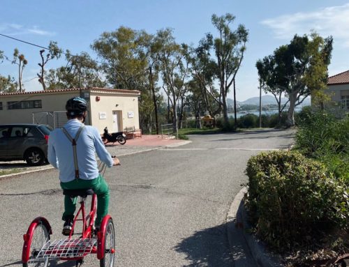 “Institutions Are Not the Solution” – Points of Support Programme